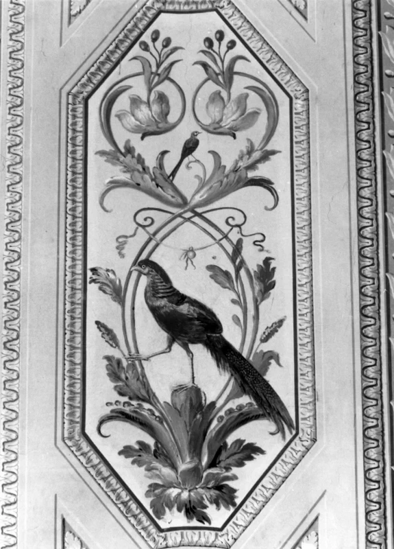 Fagiano - Villa Borghese Pinciana, Roma 1